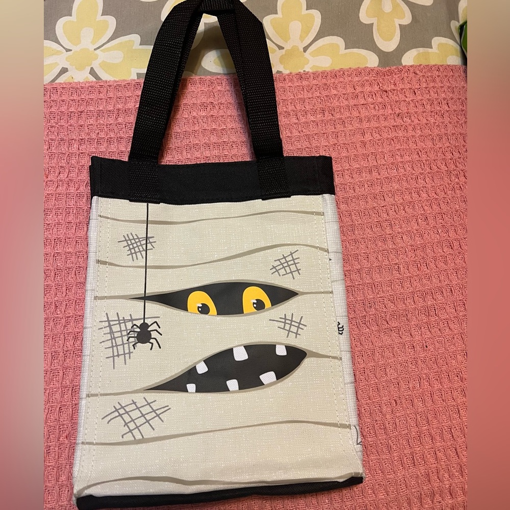 Small essential storage tote